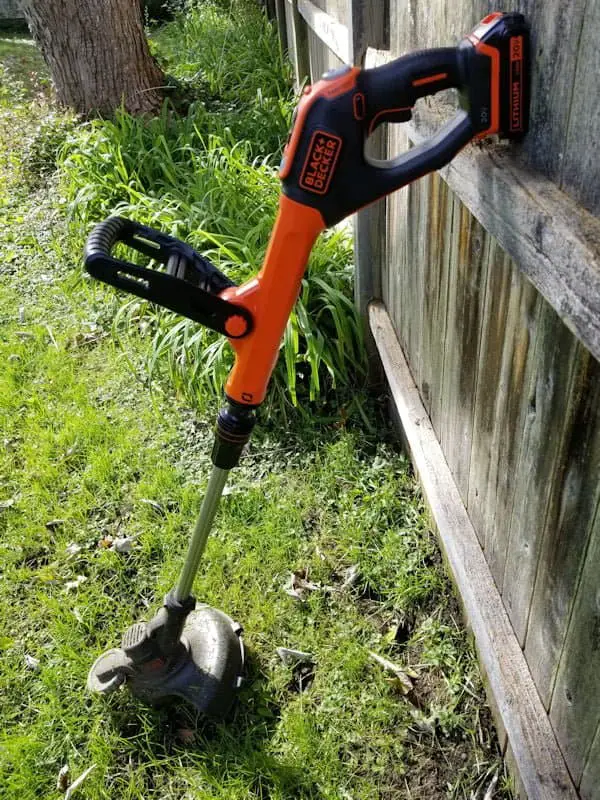 the best weed trimmer